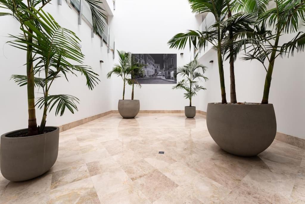 Premium Flat In Center With Free Parking Apartament